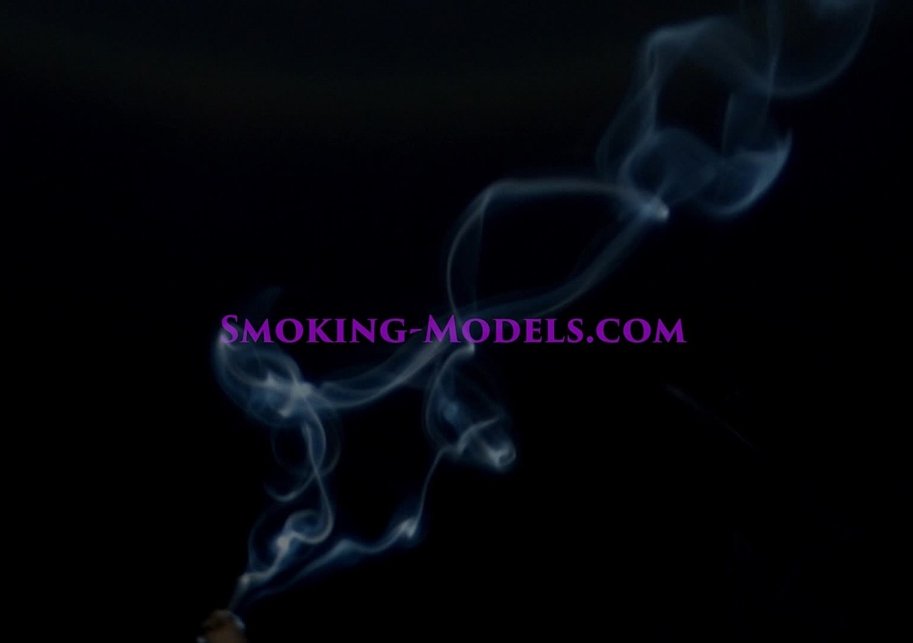 content/SMOKINGM-V-2739/0.jpg